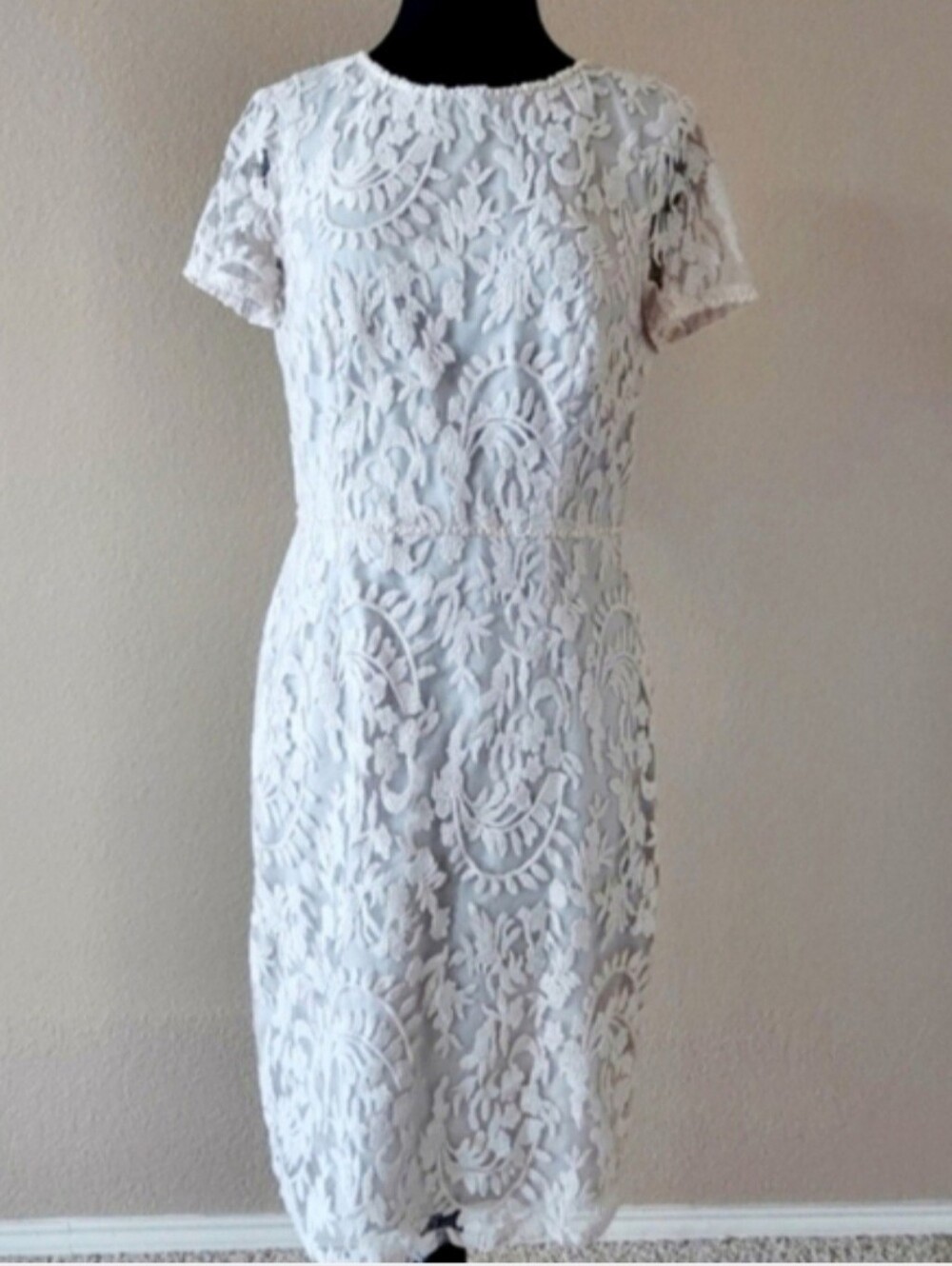Adrianna Papell Beige Lace Embroidered Pencil Dress SZ 10